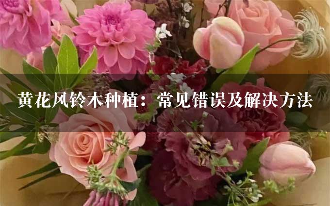 黄花风铃木种植：常见错误及解决方法