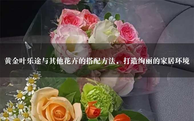 黄金叶乐途与其他花卉的搭配方法，打造绚丽的家居环境