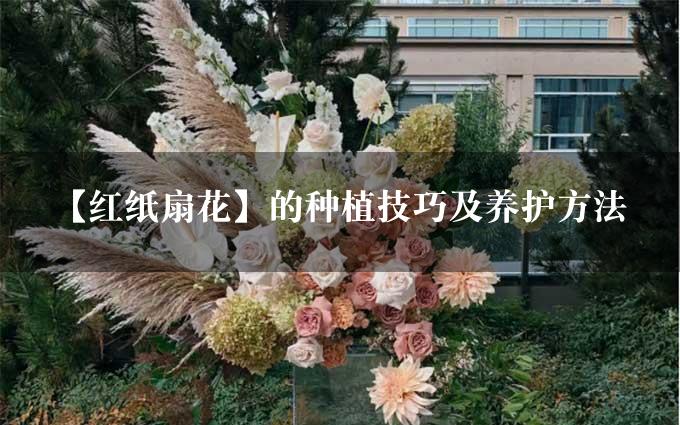 【红纸扇花】的种植技巧及养护方法