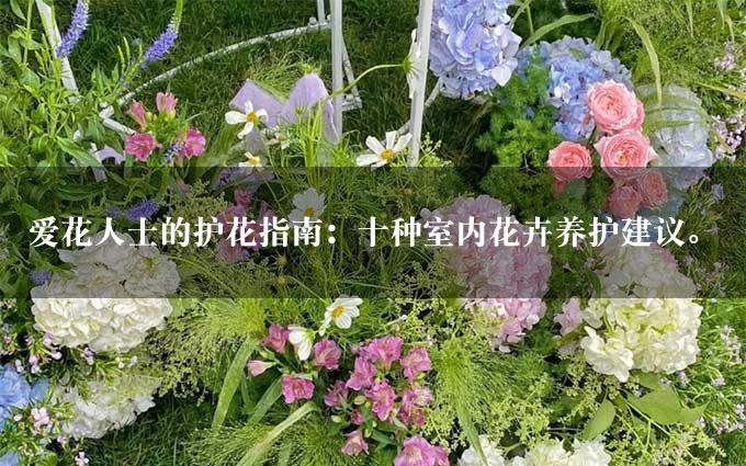 爱花人士的护花指南：十种室内花卉养护建议。