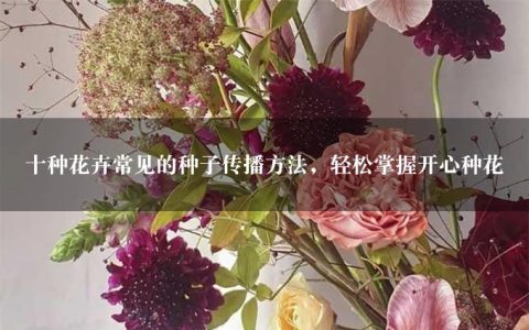 十种花卉常见的种子传播方法，轻松掌握开心种花