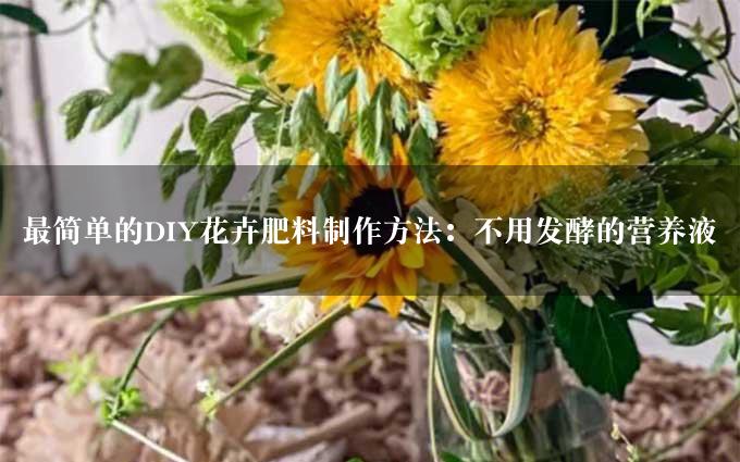 最简单的DIY花卉肥料制作方法：不用发酵的营养液