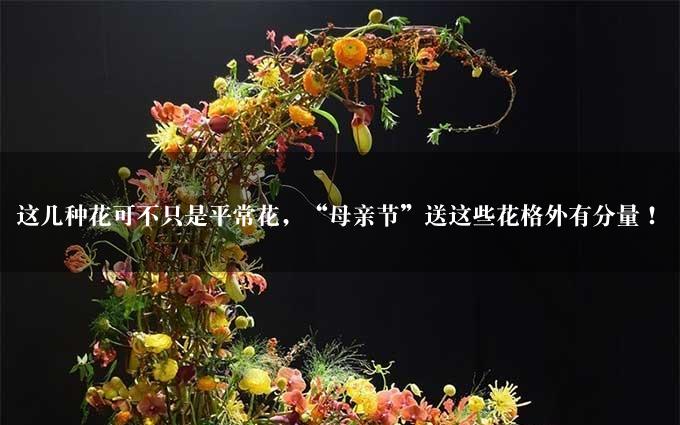 这几种花可不只是平常花，“母亲节”送这些花格外有分量！