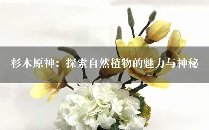 杉木原神：探索自然植物的魅力与神秘