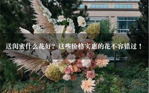 送闺蜜什么花好？这些价格实惠的花不容错过！