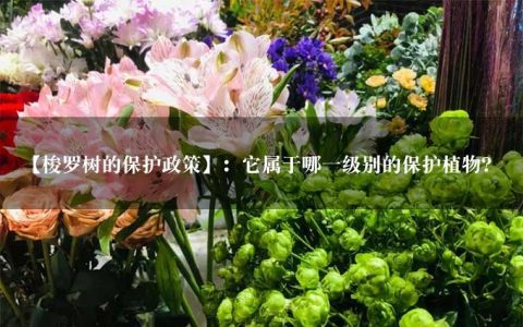 【梭罗树的保护政策】：它属于哪一级别的保护植物？