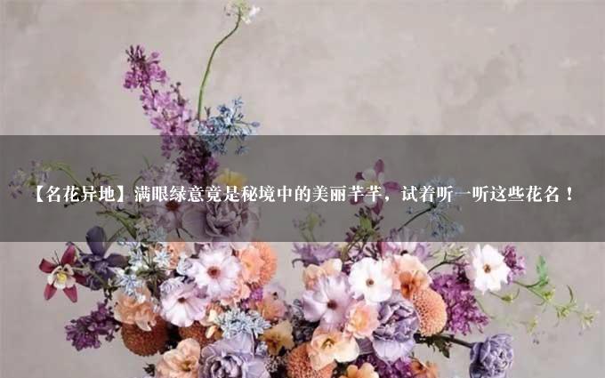 【名花异地】满眼绿意竟是秘境中的美丽芊芊，试着听一听这些花名！