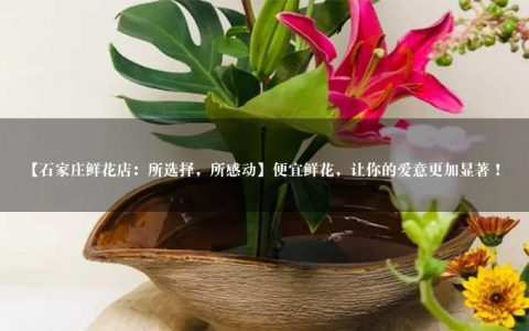 【石家庄鲜花店：所选择，所感动】便宜鲜花，让你的爱意更加显著！