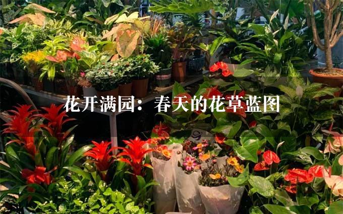 花开满园：春天的花草蓝图