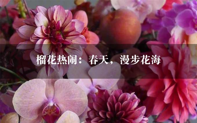 榴花热闹：春天，漫步花海