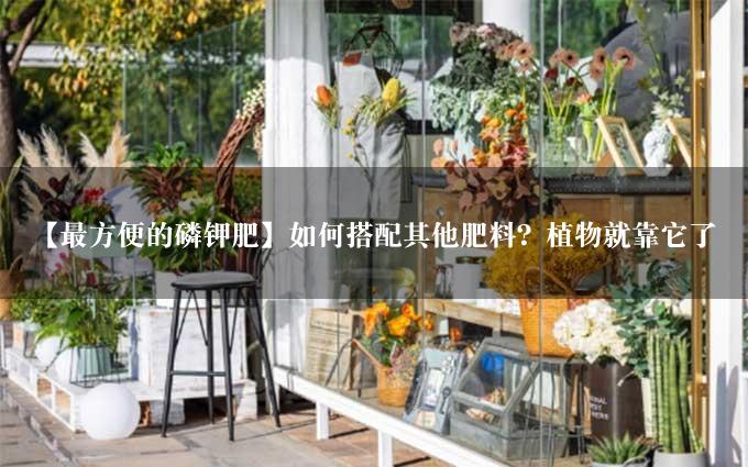 【最方便的磷钾肥】如何搭配其他肥料？植物就靠它了