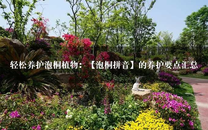 轻松养护泡桐植物：【泡桐拼音】的养护要点汇总