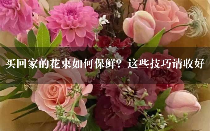 买回家的花束如何保鲜？这些技巧请收好