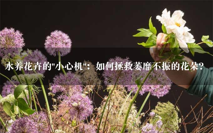 水养花卉的"小心机"：如何拯救萎靡不振的花朵？