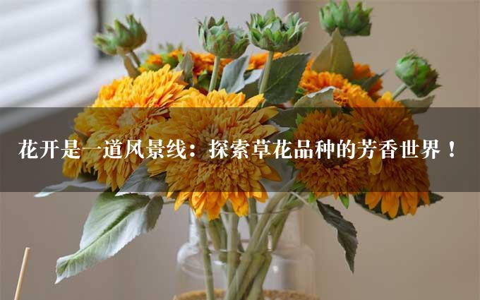 花开是一道风景线：探索草花品种的芳香世界！