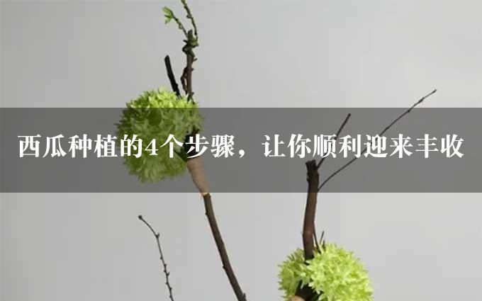 西瓜种植的4个步骤，让你顺利迎来丰收