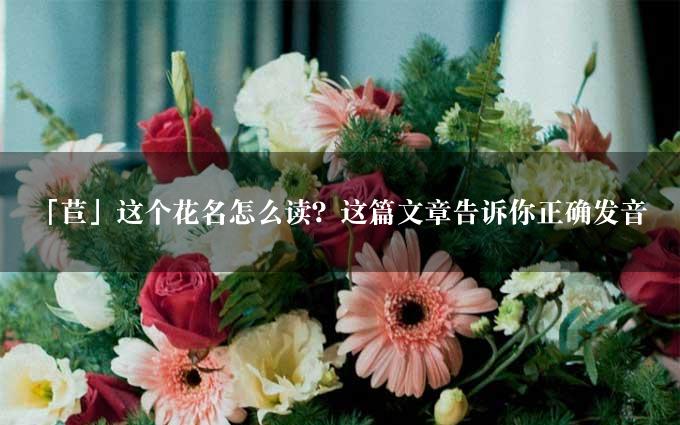 「苣」这个花名怎么读？这篇文章告诉你正确发音