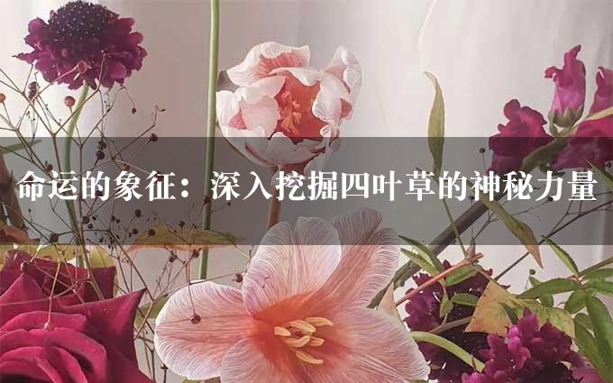 命运的象征：深入挖掘四叶草的神秘力量