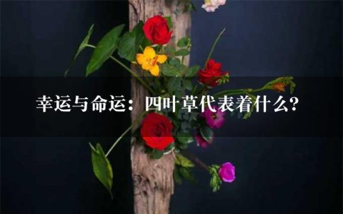 幸运与命运：四叶草代表着什么？