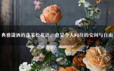 典雅潇洒的蓬莱松花语，愈显令人向往的安闲与自由