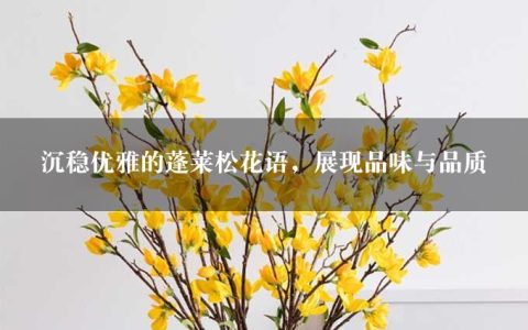 沉稳优雅的蓬莱松花语，展现品味与品质