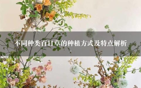 不同种类百日草的种植方式及特点解析