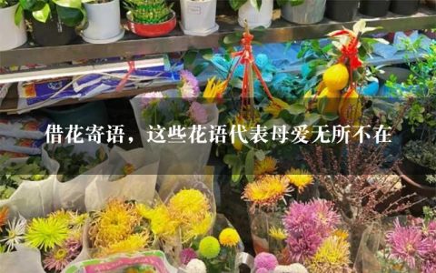 借花寄语，这些花语代表母爱无所不在