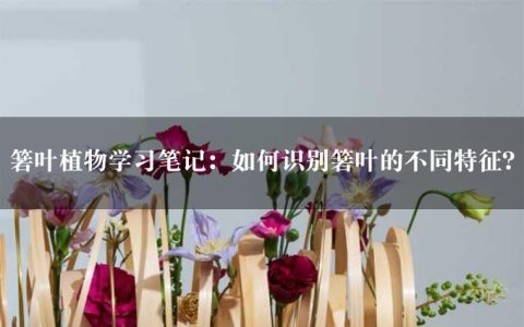 箬叶植物学习笔记：如何识别箬叶的不同特征？