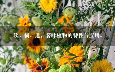 软、韧、透，箬叶植物的特性与应用。