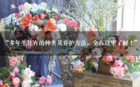 “多年生花卉的种类及养护方法，全在这里了解！”