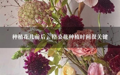 种植花儿前后，格桑花种植时间很关键