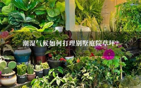 潮湿气候如何打理别墅庭院草坪？