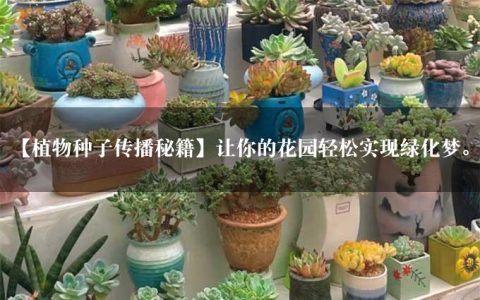 【植物种子传播秘籍】让你的花园轻松实现绿化梦。