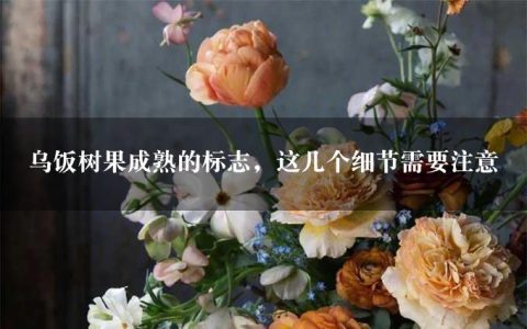 乌饭树果成熟的标志，这几个细节需要注意