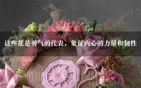 这些花是勇气的代表，象征内心的力量和韧性