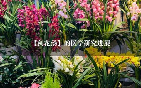 【剑花汤】的医学研究进展