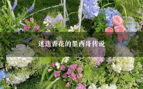 迷迭香花的墨西哥传说