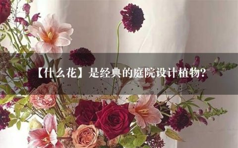 【什么花】是经典的庭院设计植物？