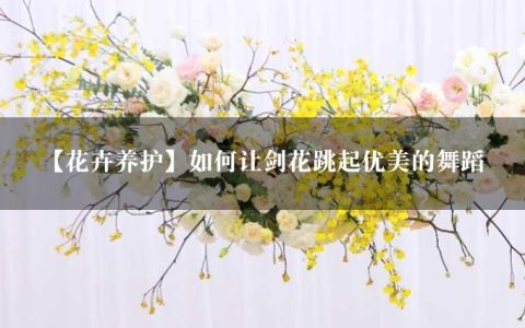 【花卉养护】如何让剑花跳起优美的舞蹈