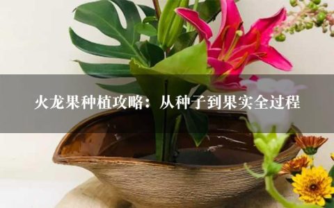 火龙果种植攻略：从种子到果实全过程