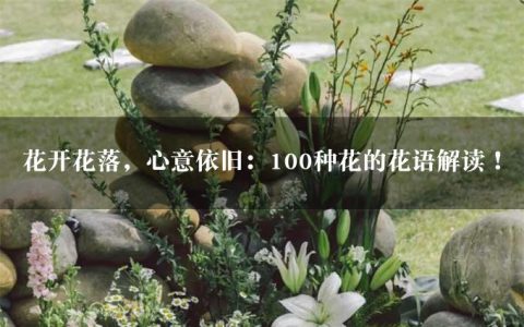 花开花落，心意依旧：100种花的花语解读！